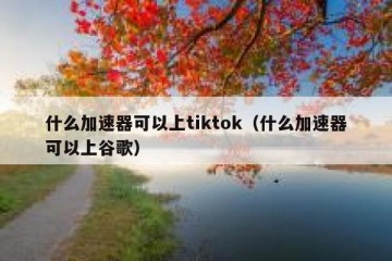 什么加速器可以上tiktok（什么加速器可以上谷歌）