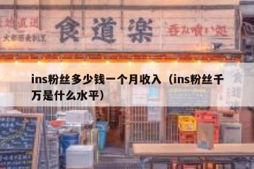 ins粉丝多少钱一个月收入（ins粉丝千万是什么水平）