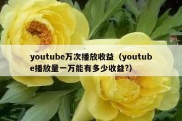 youtube万次播放收益（youtube播放量一万能有多少收益?）
