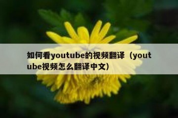 如何看youtube的视频翻译（youtube视频怎么翻译中文）