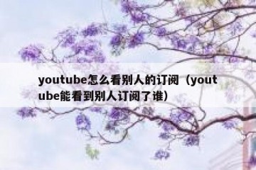 youtube怎么看别人的订阅（youtube能看到别人订阅了谁）