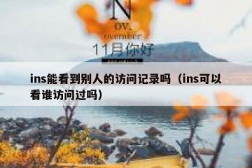 ins能看到别人的访问记录吗（ins可以看谁访问过吗）
