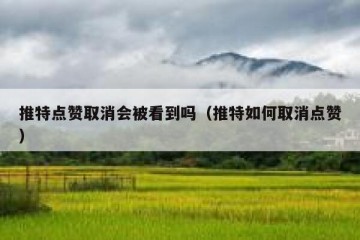 推特点赞取消会被看到吗（推特如何取消点赞）