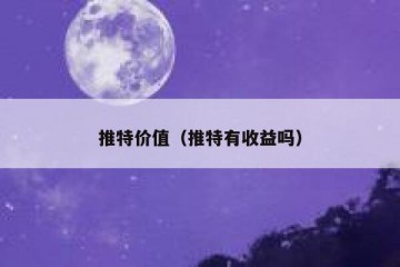 推特价值（推特有收益吗）