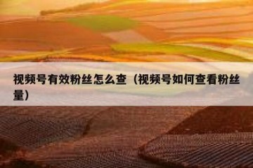 视频号有效粉丝怎么查（视频号如何查看粉丝量）