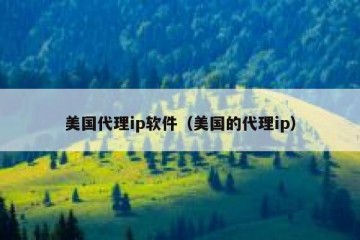 美国代理ip软件（美国的代理ip）