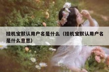 挂机宝默认用户名是什么（挂机宝默认用户名是什么意思）
