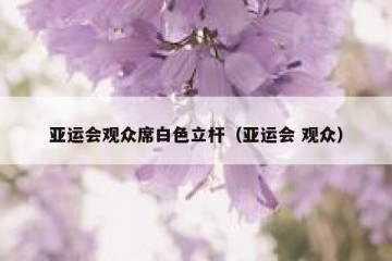 亚运会观众席白色立杆（亚运会 观众）