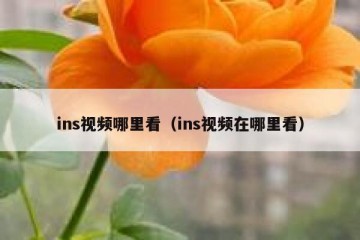ins视频哪里看（ins视频在哪里看）