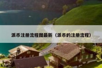 派币注册流程图最新（派币的注册流程）