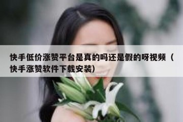 快手低价涨赞平台是真的吗还是假的呀视频（快手涨赞软件下载安装）