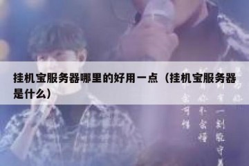 挂机宝服务器哪里的好用一点（挂机宝服务器是什么）