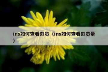 ins如何查看浏览（ins如何查看浏览量）