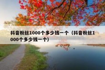 抖音粉丝1000个多少钱一个（抖音粉丝1000个多少钱一个）