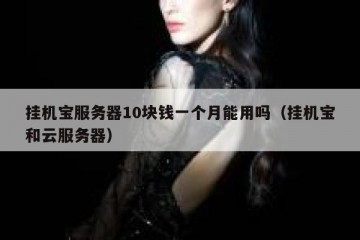 挂机宝服务器10块钱一个月能用吗（挂机宝和云服务器）