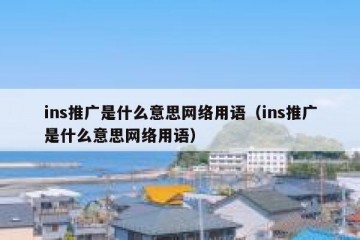 ins推广是什么意思网络用语（ins推广是什么意思网络用语）