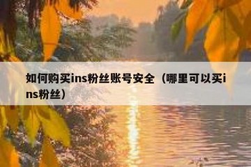 如何购买ins粉丝账号安全（哪里可以买ins粉丝）