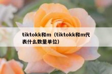 tiktokk和m（tiktokk和m代表什么数量单位）