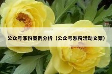 公众号涨粉案例分析（公众号涨粉活动文案）