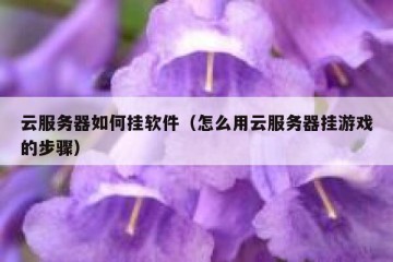 云服务器如何挂软件（怎么用云服务器挂游戏的步骤）