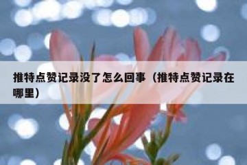 推特点赞记录没了怎么回事（推特点赞记录在哪里）