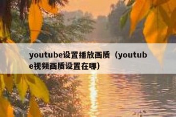 youtube设置播放画质（youtube视频画质设置在哪）