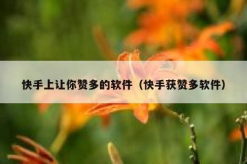 快手上让你赞多的软件（快手获赞多软件）