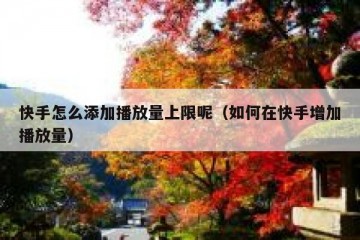 快手怎么添加播放量上限呢（如何在快手增加播放量）