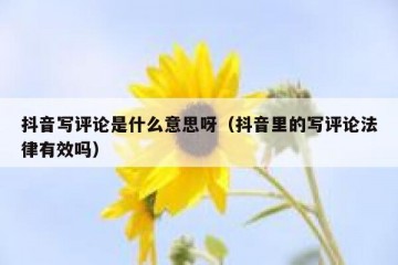 抖音写评论是什么意思呀（抖音里的写评论法律有效吗）