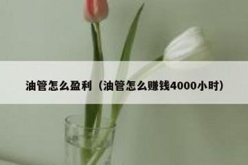 油管怎么盈利（油管怎么赚钱4000小时）