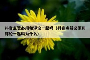抖音点赞必须和评论一起吗（抖音点赞必须和评论一起吗为什么）