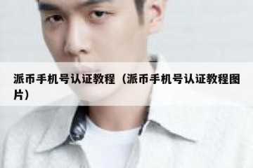 派币手机号认证教程（派币手机号认证教程图片）