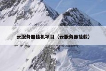 云服务器挂机项目（云服务器挂载）