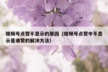 视频号点赞不显示的原因（视频号点赞中不显示是谁赞的解决方法）