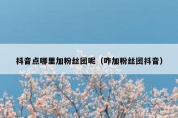 抖音点哪里加粉丝团呢（咋加粉丝团抖音）