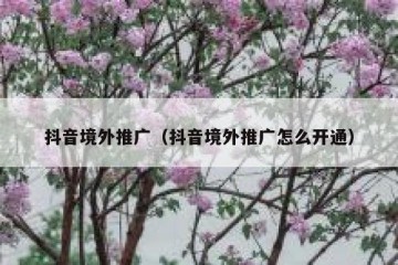 抖音境外推广（抖音境外推广怎么开通）