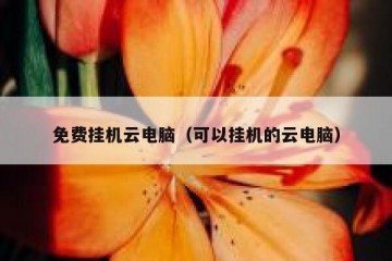 免费挂机云电脑（可以挂机的云电脑）