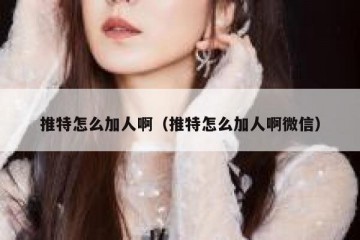 推特怎么加人啊（推特怎么加人啊微信）