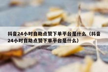 抖音24小时自助点赞下单平台是什么（抖音24小时自助点赞下单平台是什么）