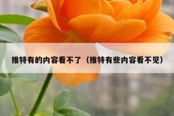 推特有的内容看不了（推特有些内容看不见）