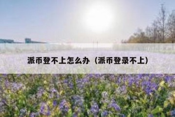 派币登不上怎么办（派币登录不上）