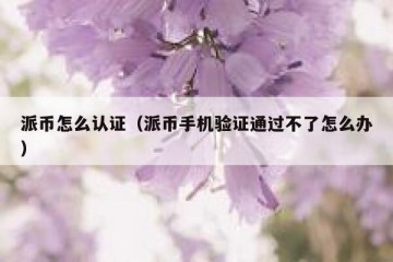 派币怎么认证（派币手机验证通过不了怎么办）