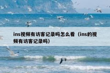 ins视频有访客记录吗怎么看（ins的视频有访客记录吗）