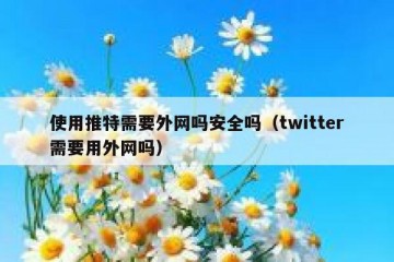 使用推特需要外网吗安全吗（twitter需要用外网吗）