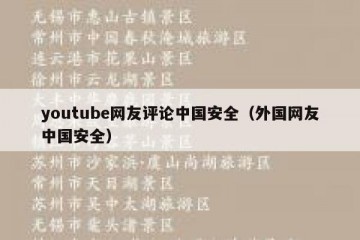 youtube网友评论中国安全（外国网友中国安全）