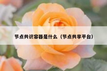 节点共识容器是什么（节点共享平台）