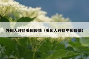 外国人评价美国疫情（美国人评价中国疫情）