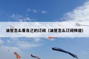 油管怎么看自己的订阅（油管怎么订阅频道）