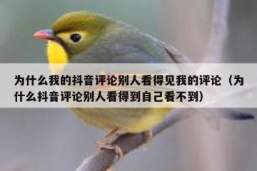 为什么我的抖音评论别人看得见我的评论（为什么抖音评论别人看得到自己看不到）