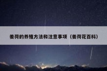 姜荷的养殖方法和注意事项（姜荷花百科）